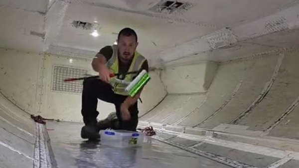 Snake captured on passenger plane - as expert reveals how it got there Snake captured on passenger plane - as expert reveals how it got there