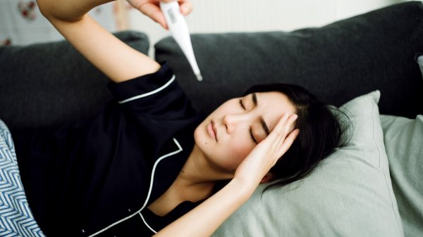 Mosquito-borne virus spreading through China causes high fever, joint pain