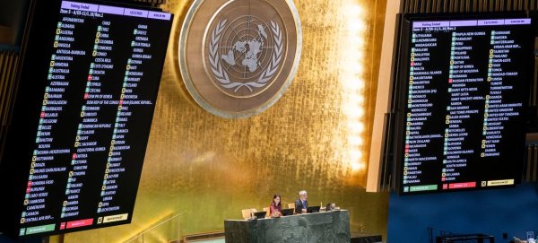 General Assembly demands return of Ukrainian children by Russia
General Assembly demands return of Ukrainian children by Russia